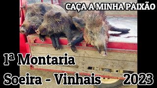 🐗1ª Montaria em Soeira Vinhais  TrásosMontes🐗 [upl. by Enitnemelc]